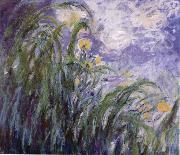 Claude Monet Yellow Irises oil painting on canvas